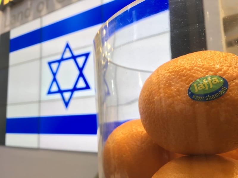 Wirtschaftsfaktor Landwirschaft: Israel und seine Jaffa Orangen. Mit den süßen Südfrüchten lockt Israel Touristen zur Wiege der Weltreligionen ein.