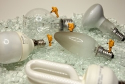 Moderne LED Lampen können bis zu 90 Prozent Energie einsparen. 