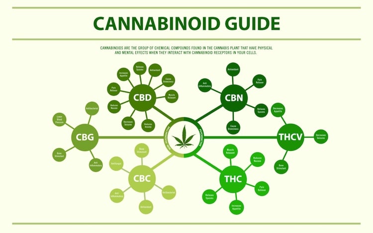 CBD wird im medizinischen Bereich zur Schmerztherapie angewandt.