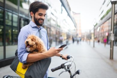 Mit der richtigen IT-Infrastruktur klappt auch das Arbeiten im Homeoffice. Das Mobiltelefon gehört dazu.