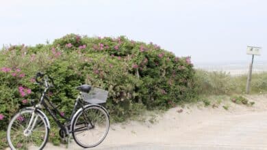 2022-04-25-Fahrrad-Fahrerlaubnis