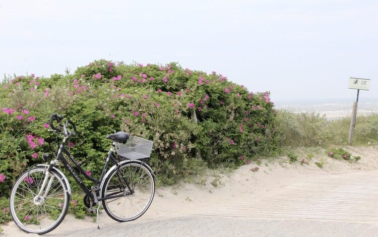 2022-04-25-Fahrrad-Fahrerlaubnis