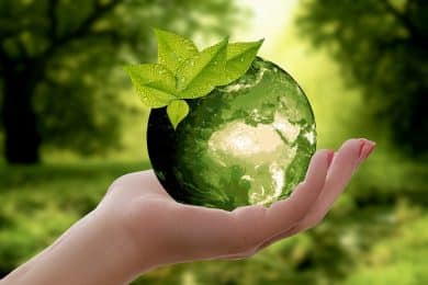 Nachhaltige Give-aways sind ein aktiver Beitrag zum Umwelt- und Naturschutz.