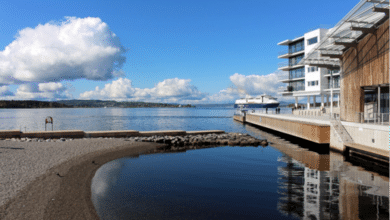 Moderne Flachdachfenster.