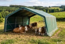 Flexible Weidezelte.