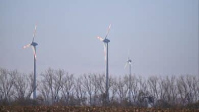 Windräder (Archiv)