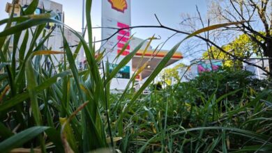 Tankstelle (Archiv)