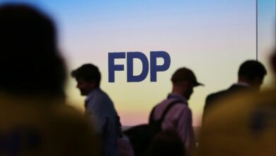 FDP-Logo (Archiv)