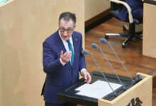 Cem Özdemir (Archiv)