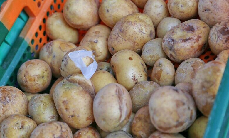 Kartoffeln (Archiv)