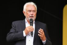 Wolfgang Kubicki (Archiv)