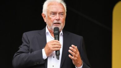 Wolfgang Kubicki (Archiv)