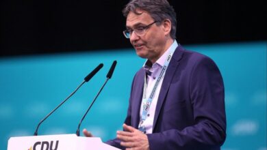 Peter Liese (Archiv)