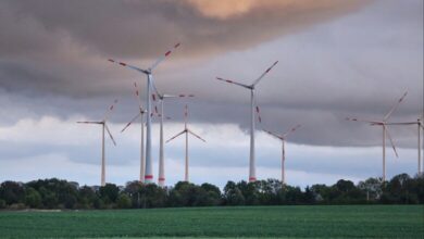 Windräder (Archiv)