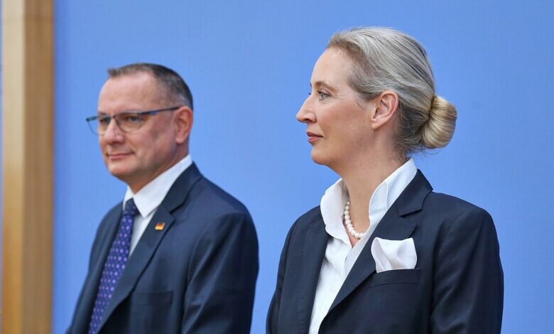 Tino Chrupalla und Alice Weidel (Archiv)