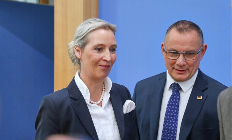 Tino Chrupalla und Alice Weidel (Archiv)