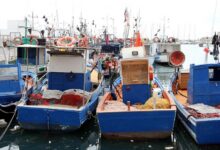 Schiffe in einem Hafen (Archiv)