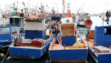 Schiffe in einem Hafen (Archiv)