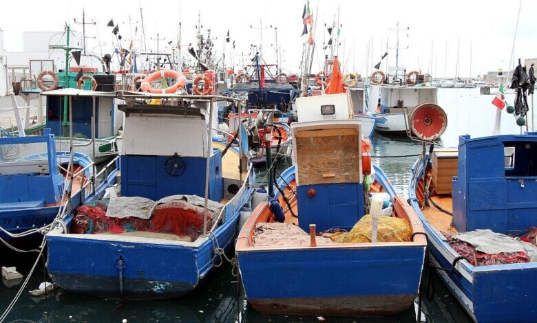 Schiffe in einem Hafen (Archiv)