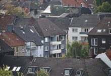 Dächer (Archiv)